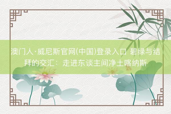 澳门人·威尼斯官网(中国)登录入口 碧绿与结拜的交汇：走进东谈主间净土喀纳斯