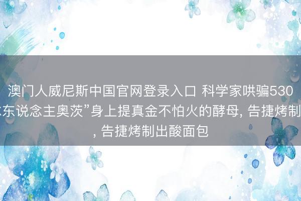 澳门人威尼斯中国官网登录入口 科学家哄骗5300岁的“冰东说念主奥茨”身上提真金不怕火的酵母， 告捷烤制出酸面包