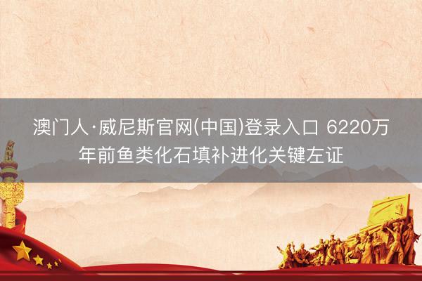 澳门人·威尼斯官网(中国)登录入口 6220万年前鱼类化石填补进化关键左证