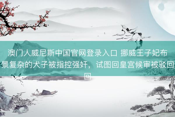 澳门人威尼斯中国官网登录入口 挪威王子妃布景复杂的犬子被指控强奸，试图回皇宫候审被驳回